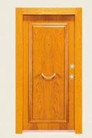 Turkey Style Aromored Doors