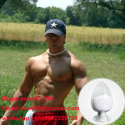 Testosterone Cypionate  S k y p e: sales05_267