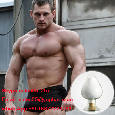 Testosterone Base   S k y p e: sales05_267