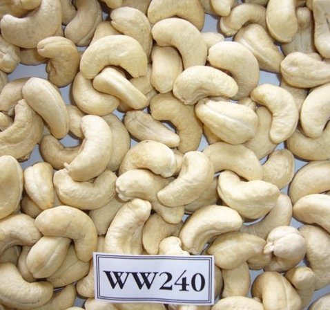 Raw And Processed Cashew Nuts For