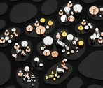 Contact Rivet