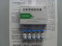 HCG  Human Chorionic Gonadotropin 