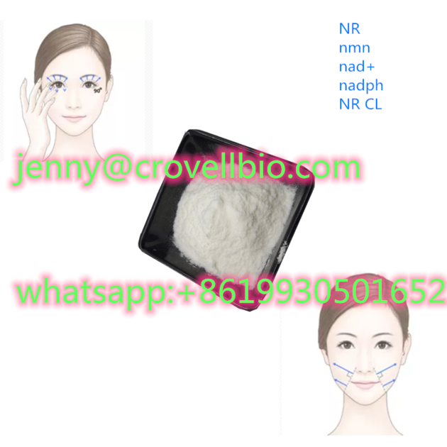 nictorinamide ribose / NR cas 1341-23-7 pure powder whatsapp:+8619930501652