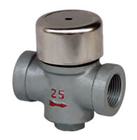 Disc steam trap