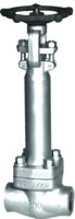 Forged Steel Cryogenic Valve