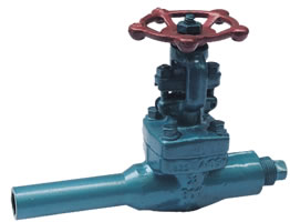 Forged Steel Extended Body Valve