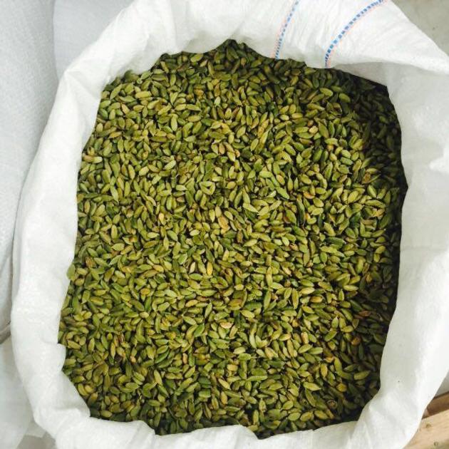 Green Cardamom