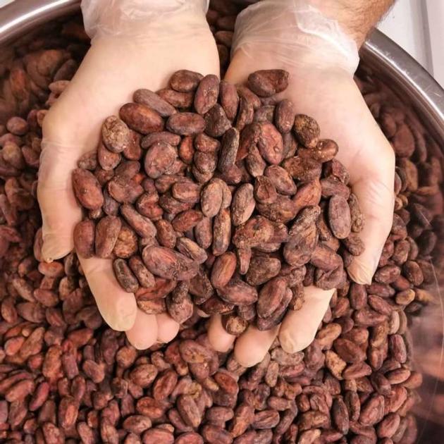 Cocoa Beans-High Grade Sun Dried 