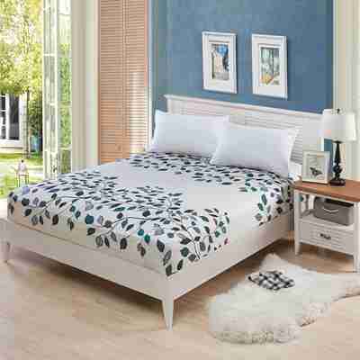 Dreamworld New Coming Fitted Sheet Mattress Cover with All-around Elastic Rubber Band Printed Bed Sh