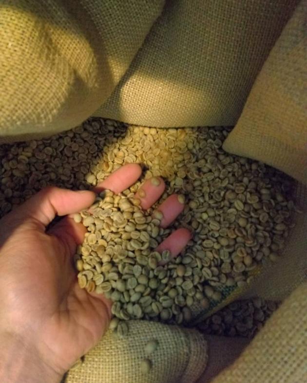 Coffee Beans (Arabica And Robusta)