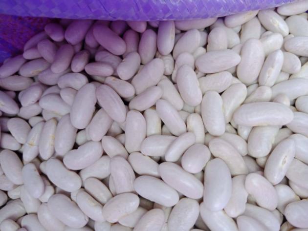 White Kidney Beans