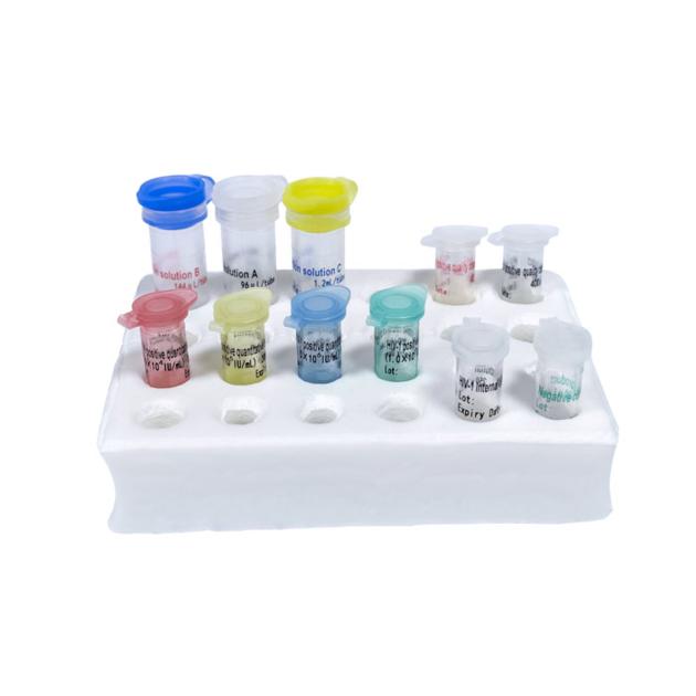 Diagnostics Kit For Quantification Of Human Immunodeficiency Virus Type 1 HIV 1 PCR Fluorescence Pro