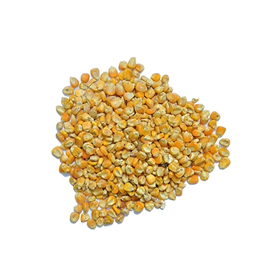 Feed Corn