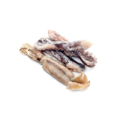 Frozen Loligo Gahi Squids