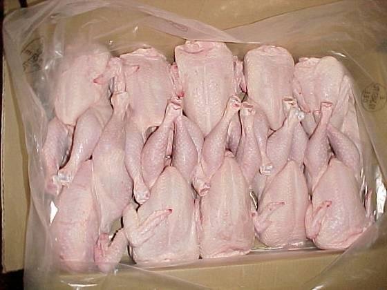 HALAL FROZEN CHICKEN 