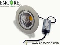 20w adjustable Bridgelux LED down light