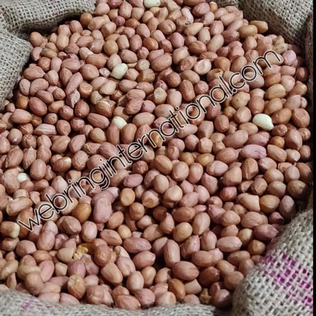 Peanuts And Groundnuts