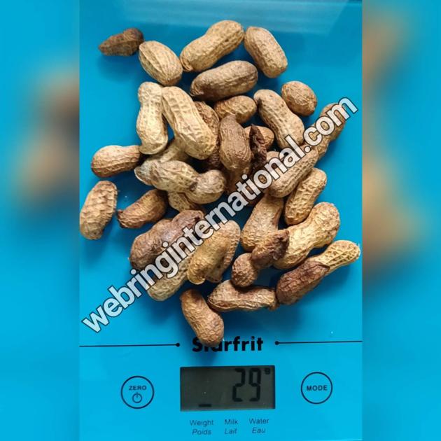Peanuts and Groundnuts