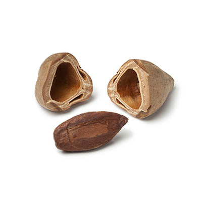 Pili Nuts