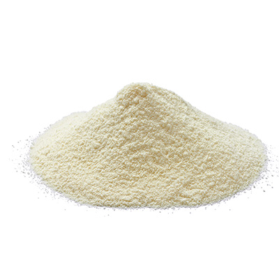 Skim Milk Powder