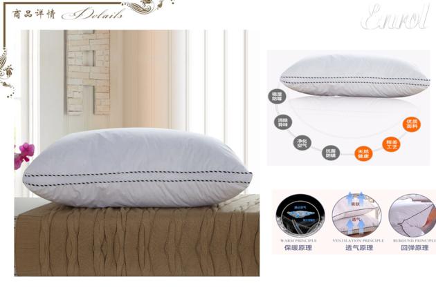 Anti-bacterial anti-mite pillow