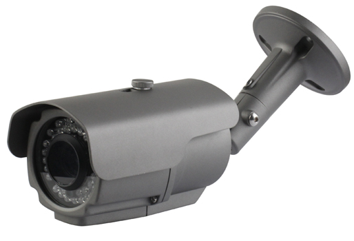 Megapixel IP Cameras