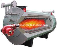 Oil (gas) Fired Steam Boiler