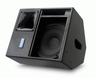Professional speaker