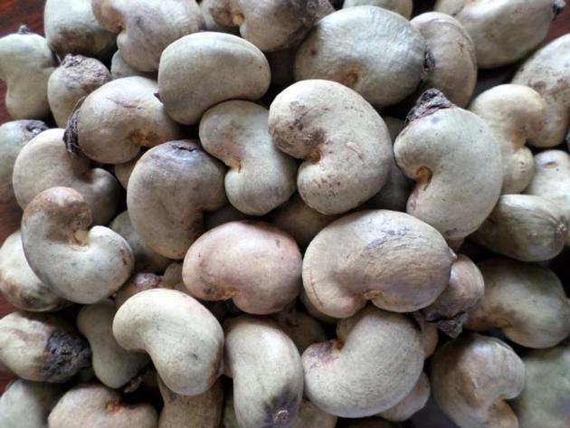 Cashew Nuts For Sale