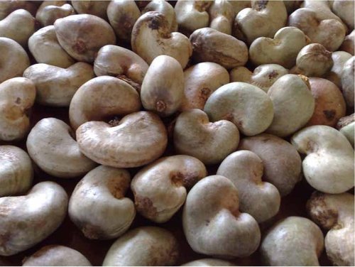 Cashew Nuts For Sale