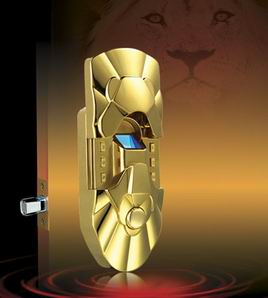 Fingerprint door Lock, biometric door lock (GT-009)