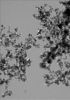 titanium nitride nanoparticles