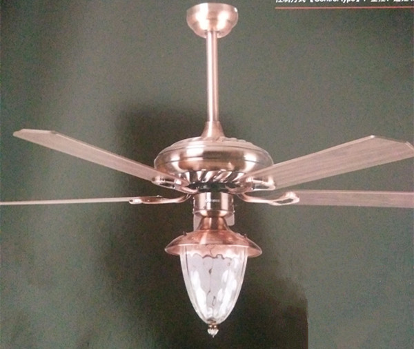 fan with light