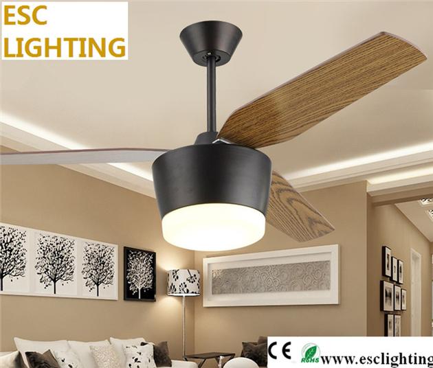 Contemporary Ceiling Fan