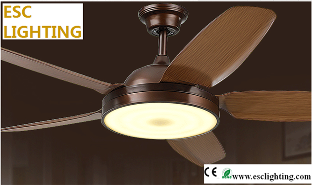 220V-240V Voltage ceiling fan with light