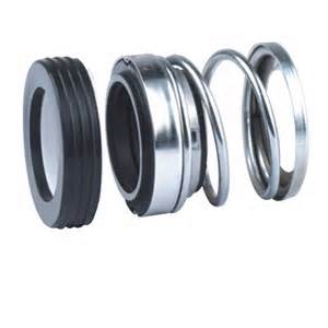 Roten Mechanical Seal
