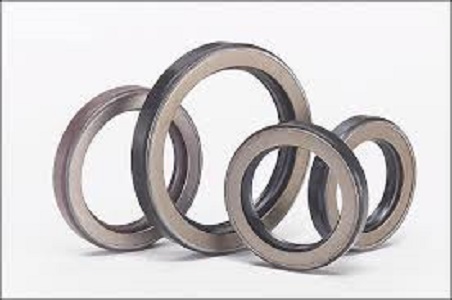 Simrit Skeleton Oil Seal