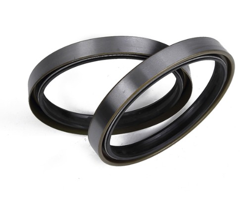 TTO Skeleton oil seal