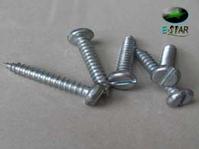 button head self-tapping screw