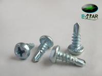 frame head  self drilling screw