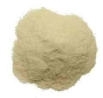 pharmaceutical ingredients