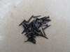 polished_horse_shoe_nails_summ