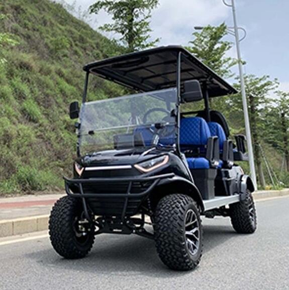 OEM ＆ ODM Custom Electric Golf Carts Manufacturer