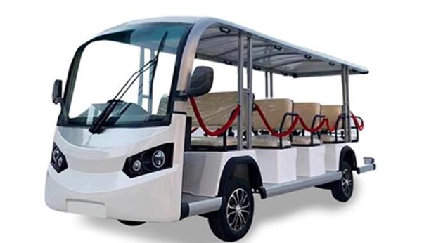 People Moving Electric Carts