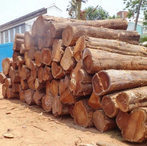 Harwood Timber logs
