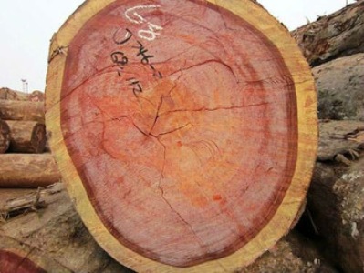 Harwood Timber Logs
