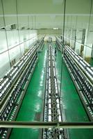 Spandex Covered Yarns- Taiwan Etex