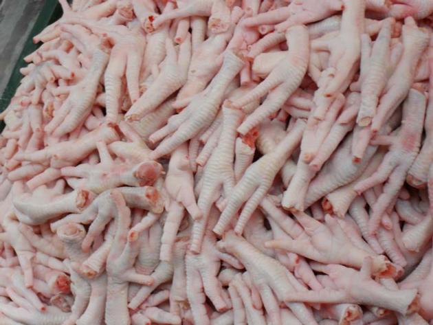 Halal Frozen Whole Chicken, Frozen Chicken Paws Frozen, processed Chicken Feet