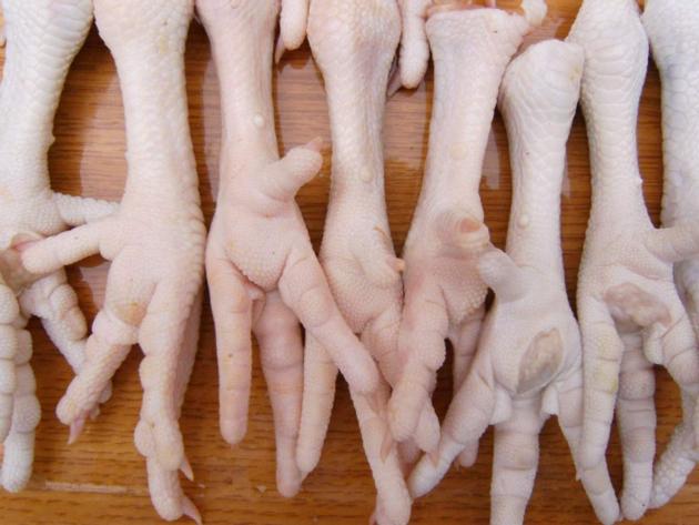 Frozen Chicken Frozen Chicken Feet and Chicken Paws Exporter