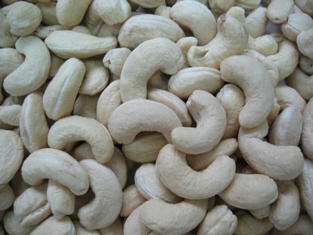 Cashew Nut Kernels Ww180, Ww220, Ww240, Ww320, Ww450 Cashew Nut Supplier
